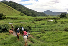 Brazil-Rio/Sao Paulo-Darwin's Rainforest Trail